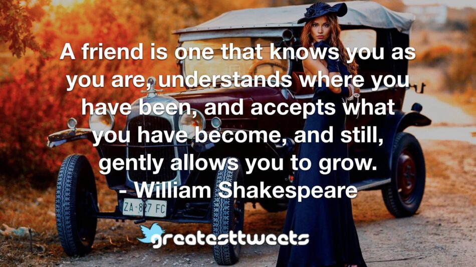 A friend is one that knows you as you are, understands where you have been, and accepts what you have become, and still, gently allows you to grow. - William Shakespeare
