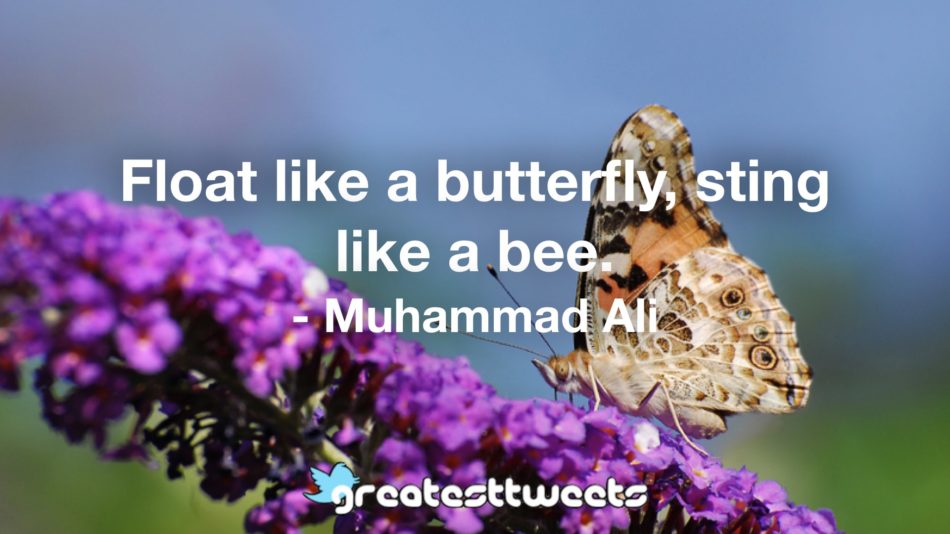 Float like a butterfly, sting like a bee. - Muhammad Ali.001