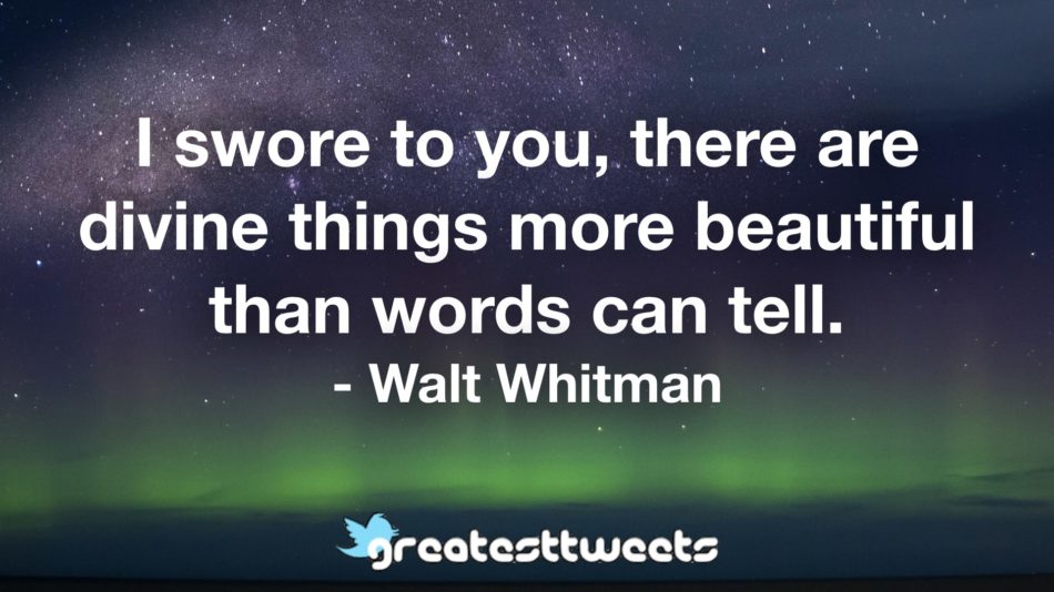 I swore to you, there are divine things more beautiful than words can tell. - Walt Whitman