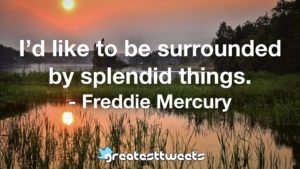 I’d like to be surrounded by splendid things. - Freddie Mercury