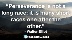 Perseverance is not a long race; it is many short races, one after the other. - Walter Elliot