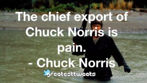 The chief export of Chuck Norris is pain. - Chuck Norris