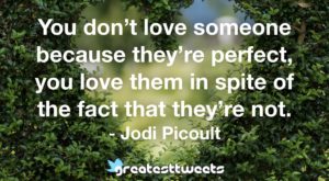 You don’t love someone because they’re perfect, you love them in spite of the fact that they’re not. - Jodi Picoult