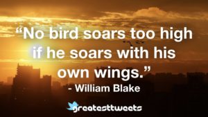 “No bird soars too high if he soars with his own wings.” - William Blake
