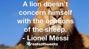 A lion doesn’t concern himself with the opinions of the sheep. - Lionel Messi