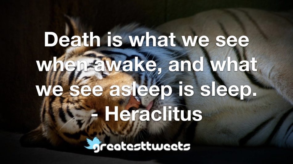 Death is what we see when awake, and what we see asleep is sleep. - Heraclitus