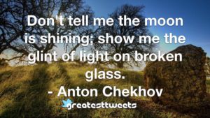 Don't tell me the moon is shining; show me the glint of light on broken glass. - Anton Chekhov
