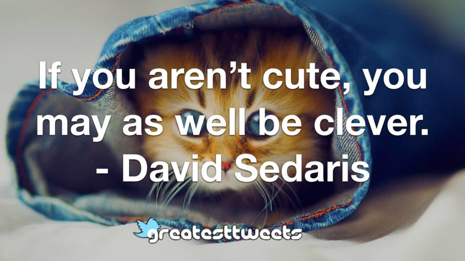 If you aren’t cute, you may as well be clever. - David Sedaris