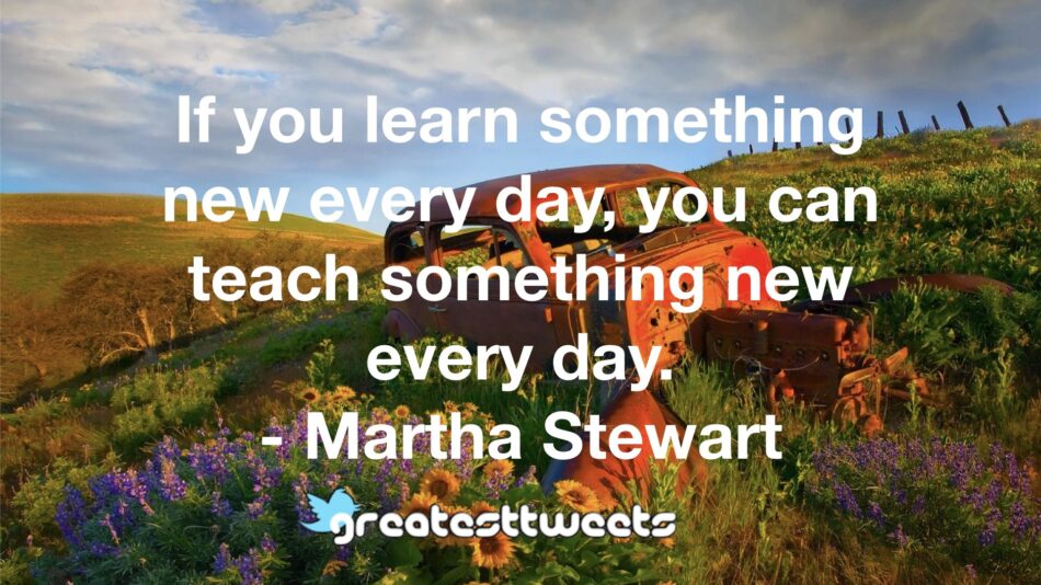 If you learn something new every day, you can teach something new every day. - Martha Stewart