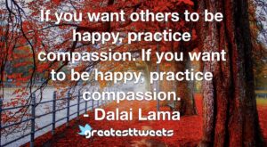 If you want others to be happy, practice compassion. If you want to be happy, practice compassion. - Dalai Lama