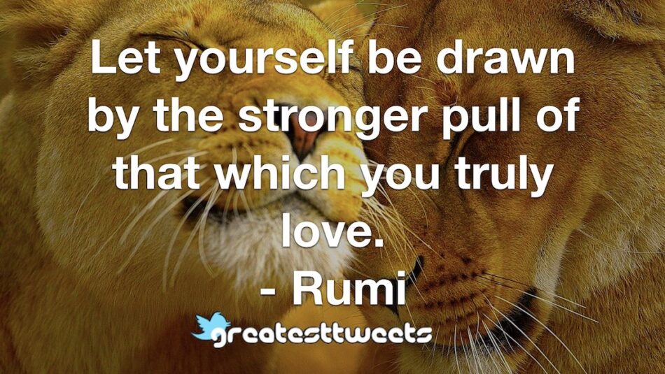 Let yourself be drawn by the stronger pull of that which you truly love. - Rumi