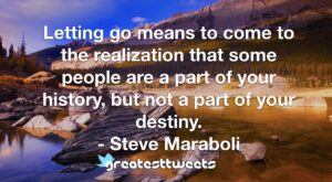 Letting go means to come to the realization that some people are a part of your history, but not a part of your destiny. - Steve Maraboli