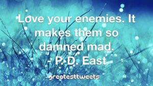 Love your enemies. It makes them so damned mad. - P. D. East