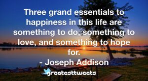 Three grand essentials to happiness in this life are something to do, something to love, and something to hope for. - Joseph Addison