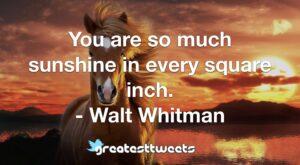 You are so much sunshine in every square inch. - Walt Whitman