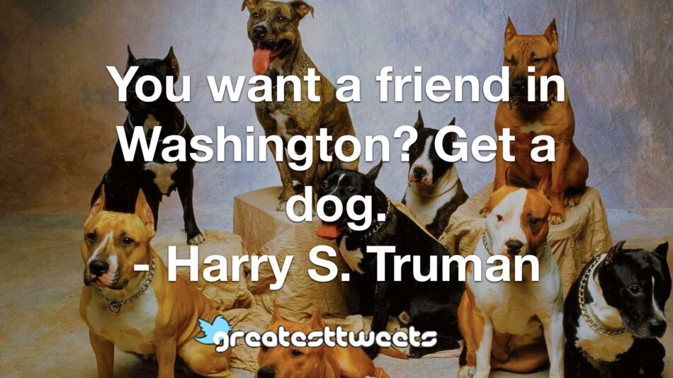 You want a friend in Washington? Get a dog. - Harry S. Truman