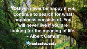 You will never be happy if you continue to search for what happiness consists of. You will never live if you are looking for the meaning of life. - Albert Camus
