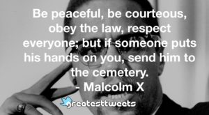 Be peaceful, be courteous, obey the law, respect everyone; but if someone puts his hands on you, send him to the cemetery. - Malcolm X