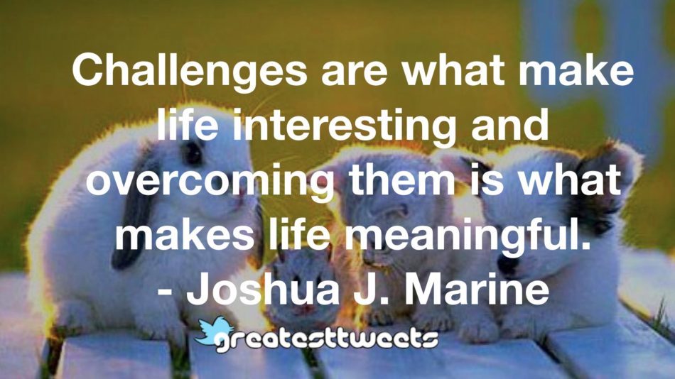 Challenges are what make life interesting and overcoming them is what makes life meaningful. - Joshua J. Marine