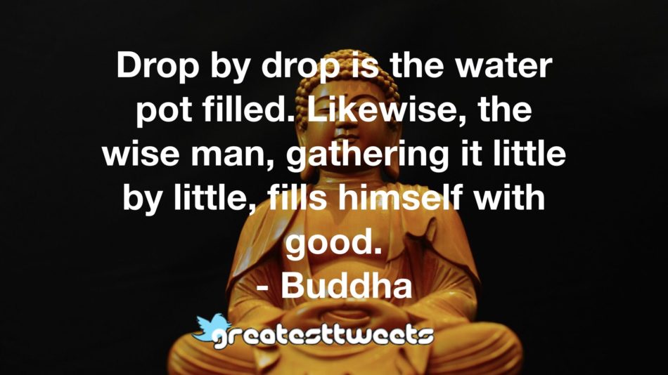 Drop by drop is the water pot filled. Likewise, the wise man, gathering it little by little, fills himself with good. - Buddha