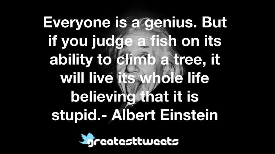Everyone is a genius. But if you judge a fish on its ability to climb a tree, it will live its whole life believing that it is stupid.- Albert Einstein