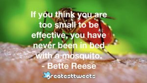 If you think you are too small to be effective, you have never been in bed with a mosquito. - Bette Reese