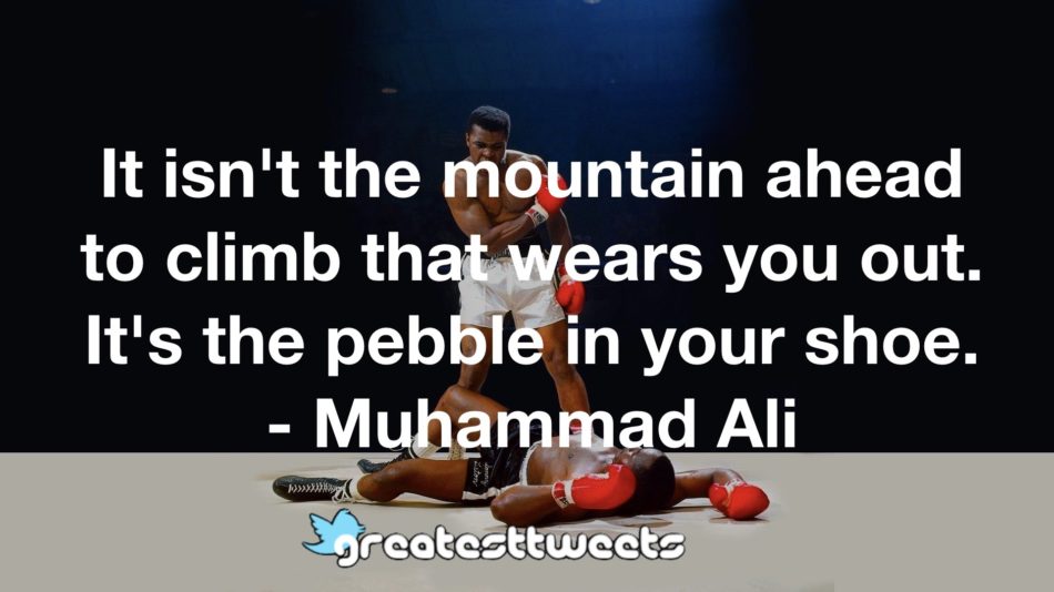 It isn't the mountain ahead to climb that wears you out. It's the pebble in your shoe. - Muhammad Ali