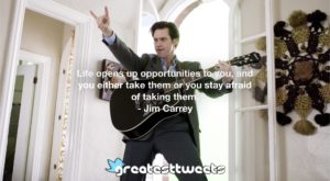 Life opens up opportunities to you, and you either take them or you stay afraid of taking them. - Jim Carrey
