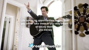 Life opens up opportunities to you, and you either take them or you stay afraid of taking them. - Jim Carrey