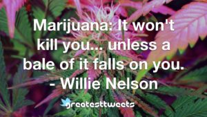 Marijuana: It won't kill you... unless a bale of it falls on you. - Willie Nelson