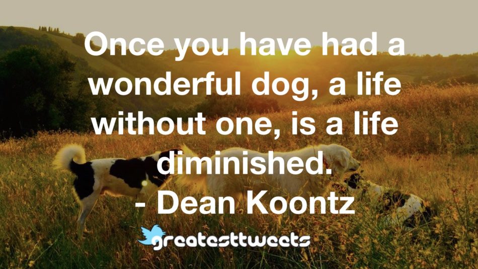 Once you have had a wonderful dog, a life without one, is a life diminished. - Dean Koontz