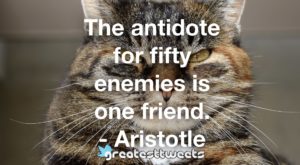 The antidote for fifty enemies is one friend. - Aristotle