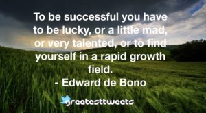 To be successful you have to be lucky, or a little mad, or very talented, or to find yourself in a rapid growth field. - Edward de Bono