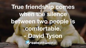 True friendship comes when the silence between two people is comfortable. - David Tyson