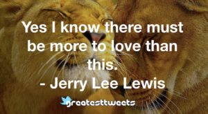 Yes I know there must be more to love than this. - Jerry Lee Lewis