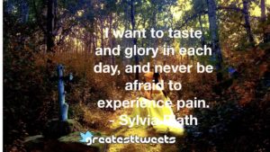 I want to taste and glory in each day, and never be afraid to experience pain. - Sylvia Plath