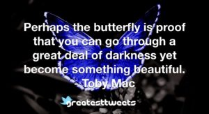 Perhaps the butterfly is proof that you can go through a great deal of darkness yet become something beautiful. - Toby Mac