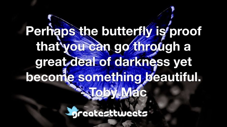 Perhaps the butterfly is proof that you can go through a great deal of darkness yet become something beautiful. - Toby Mac