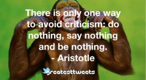 There is only one way to avoid criticism: do nothing, say nothing and be nothing. - Aristotle