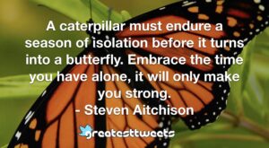 A caterpillar must endure a season of isolation before it turns into a butterfly. Embrace the time you have alone, it will only make you strong. - Steven Aitchison