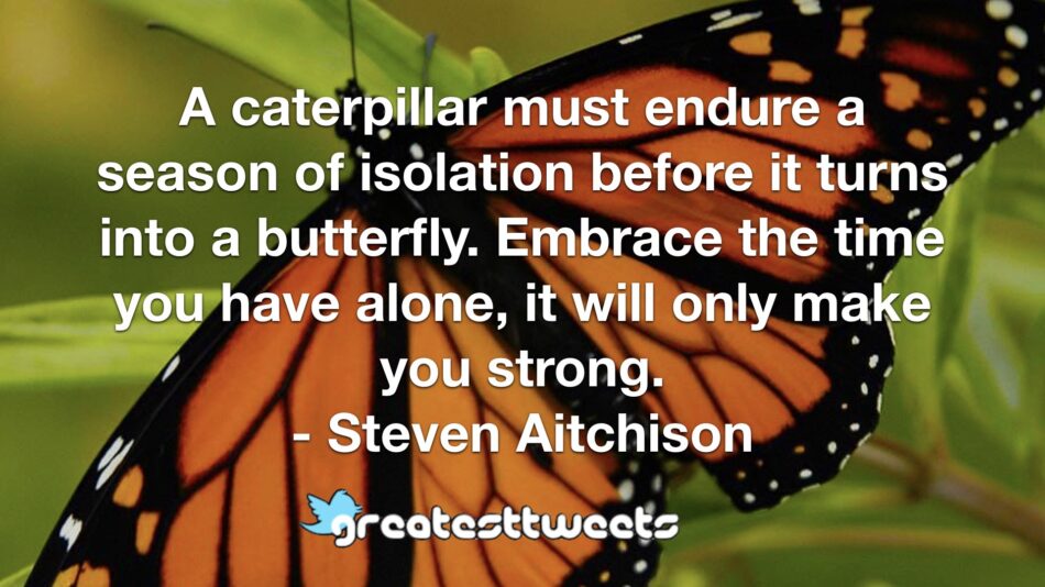 A caterpillar must endure a season of isolation before it turns into a butterfly. Embrace the time you have alone, it will only make you strong. - Steven Aitchison