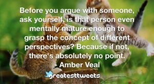 Before you argue with someone, ask yourself, is that person even mentally mature enough to grasp the concept of different perspectives? Because if not, there's absolutely no point. - Amber Veal