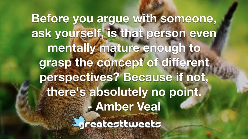 Before you argue with someone, ask yourself, is that person even mentally mature enough to grasp the concept of different perspectives? Because if not, there's absolutely no point. - Amber Veal