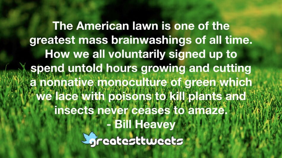 The American lawn is one of the greatest mass brainwashings of all time. How we all voluntarily signed up to spend untold hours growing and cutting a nonnative monoculture of green which we lace with poisons to kill plants and insects never ceases to amaze.- Bill Heavey.001