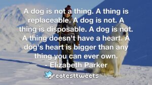 A dog is not a thing. A thing is replaceable. A dog is not. A thing is disposable. A dog is not. A thing doesn't have a heart. A dog's heart is bigger than any thing you can ever own.- Elizabeth Parker.001