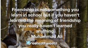Friendship is not something you learn in school but if you haven't learned the meaning of friendship you really haven't learned anything. - Muhammad Ali