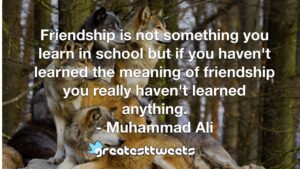 Friendship is not something you learn in school but if you haven't learned the meaning of friendship you really haven't learned anything. - Muhammad Ali
