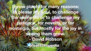 I grow plants for many reasons: to please my soul, to challenge the elements or to challenge my patience, for novelty, or for nostalgia, but mostly for the joy in seeing them grow. - David Hobson