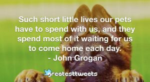 Such short little lives our pets have to spend with us, and they spend most of it waiting for us to come home each day. - John Grogan