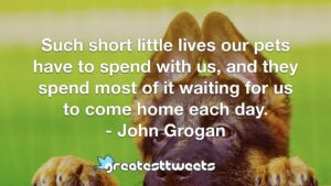 Such short little lives our pets have to spend with us, and they spend most of it waiting for us to come home each day. - John Grogan